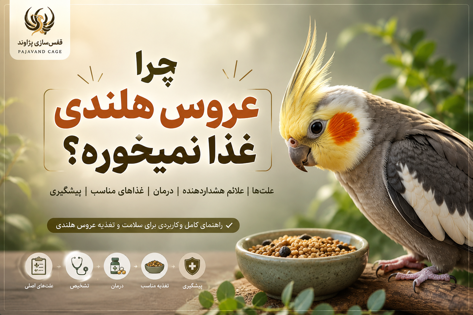 چرا عروس هلندی غذا نمی‌خورد؟ بررسی علت‌ها، راه‌حل‌ها و زمان مراجعه به دامپزشک