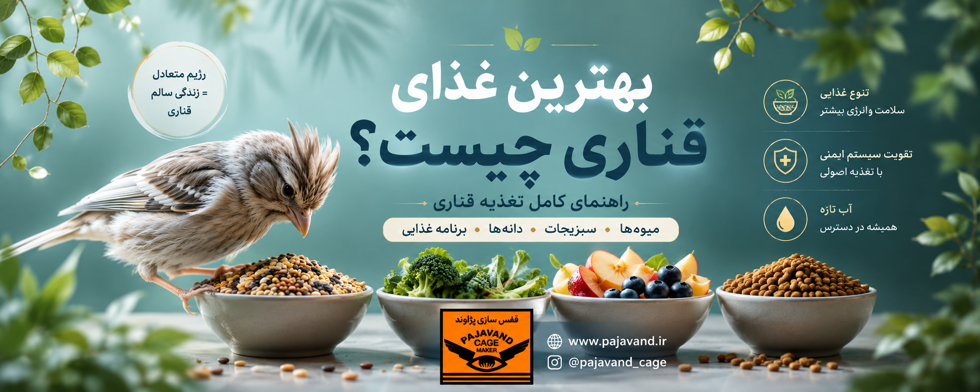 بهترین غذای قناری چیست؟ اصول علمی تغذیه قناری و ساخت یک رژیم غذایی متعادل قناری