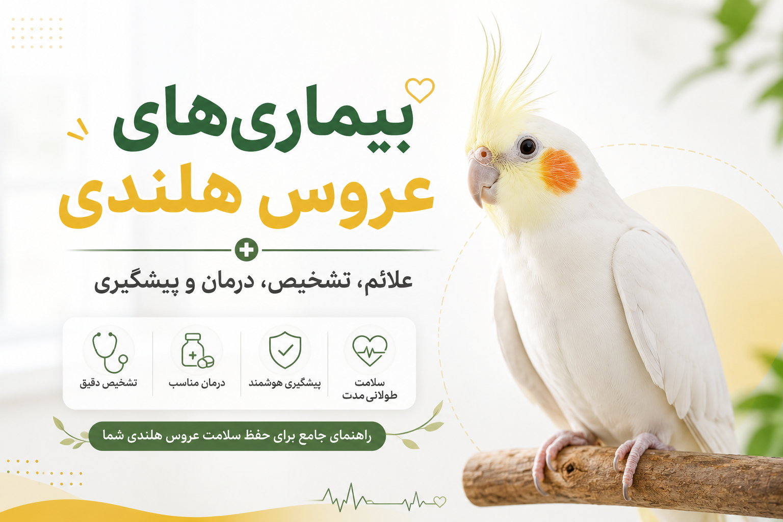 بیماری‌های عروس هلندی | راهنمای جامع علائم، تشخیص، درمان و پیشگیری