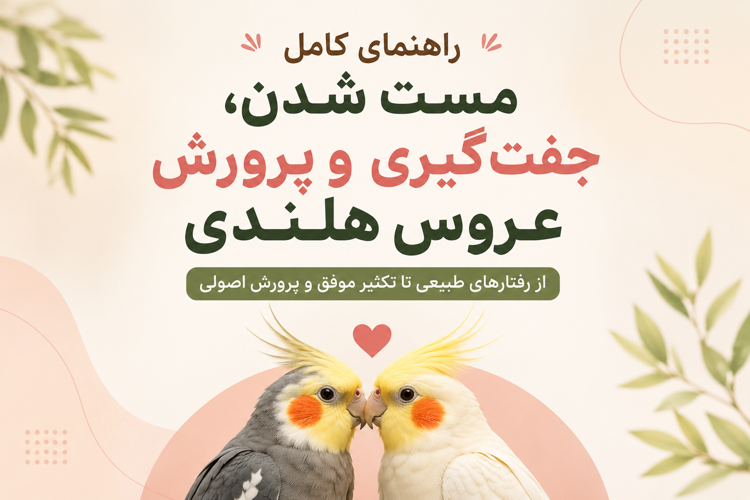 مست شدن عروس هلندی؛ راهنمای کامل فصل جفت‌گیری، رفتارهای جفت‌خواهی و روش کنترل آن