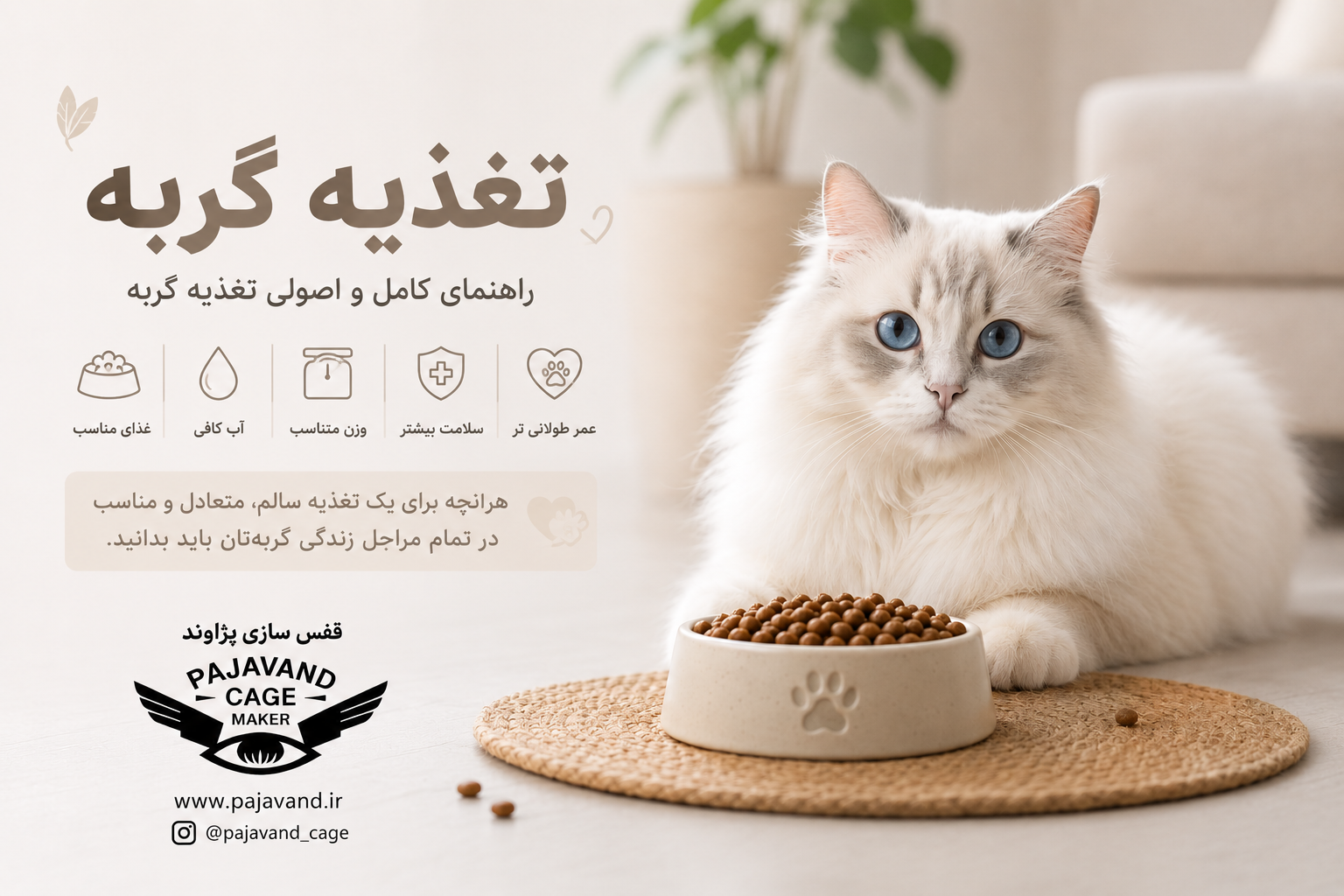 تغذیه گربه؛ راهنمای جامع غذای گربه از بچه‌گربه تا گربه سالمند