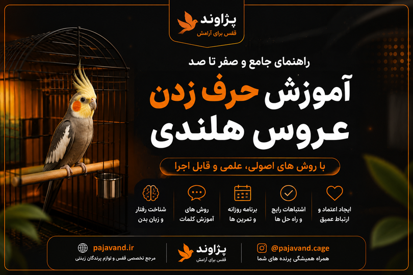 آموزش حرف زدن عروس هلندی؛ راهنمای کامل از اولین کلمه تا سخنگو شدن