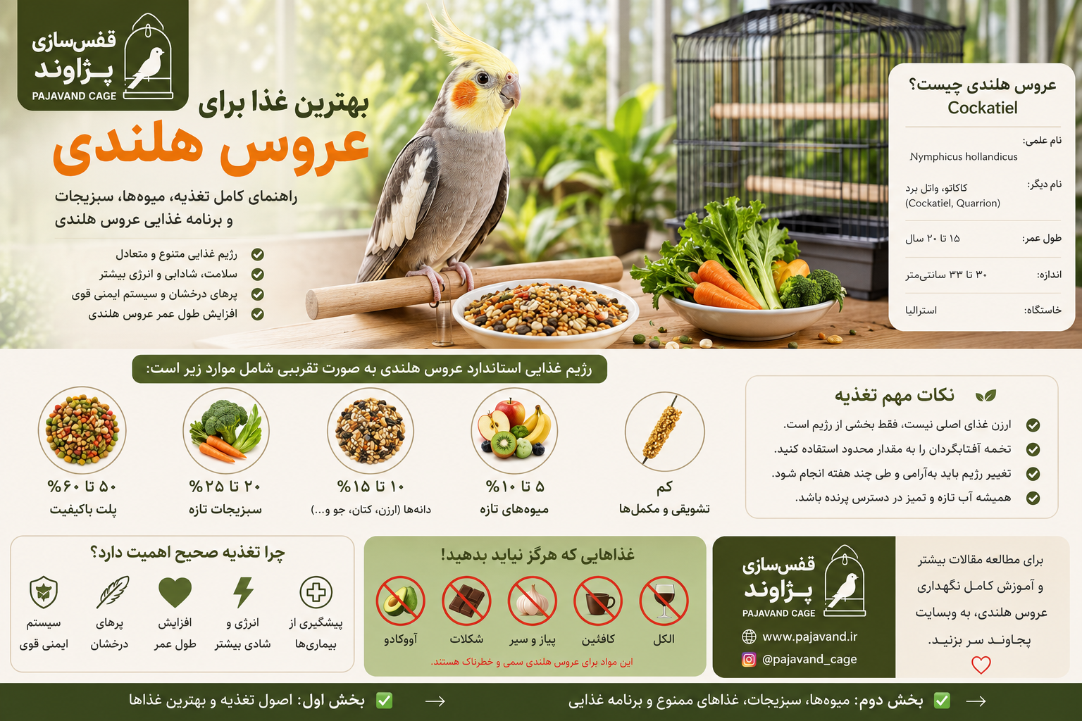 بهترین غذا برای عروس هلندی چیست؟ راهنمای کامل تغذیه، میوه‌ها، سبزیجات و برنامه غذایی عروس هلندی